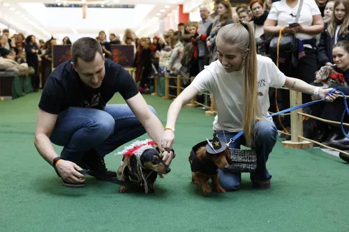 Taksai, taksų lenktynės, kostiumų paradas