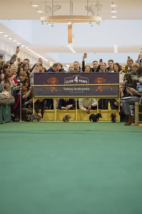 Taksų lenktynės sostinėje