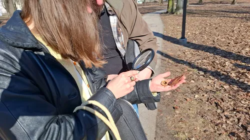 Gamtos terapija Ramybės parke / S. Javaitytės nuotr.