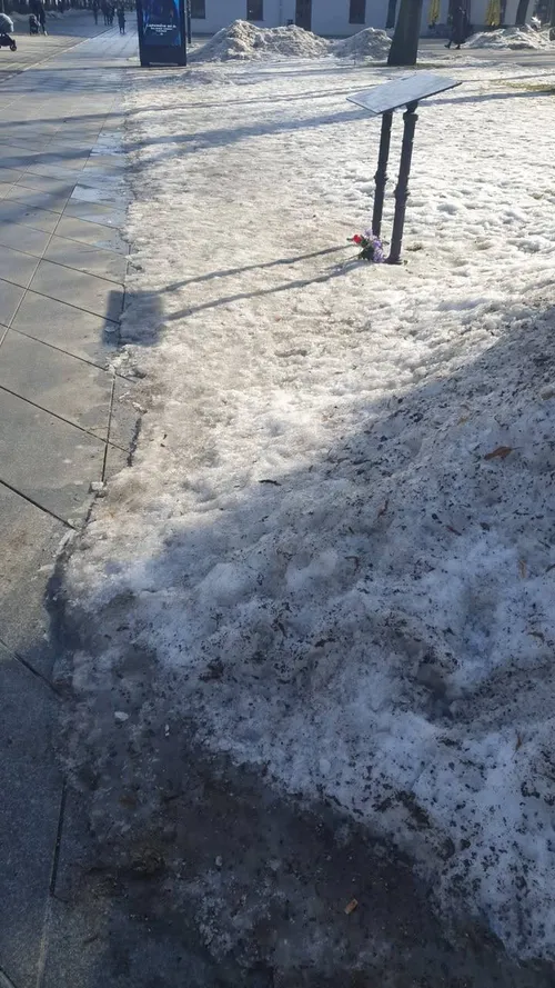 Apsnigtas paminklas Romui Kalantai / Skaitytojų nuotr.