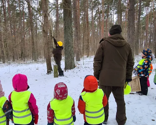 Akcija „Paukščiai grįžta namo“ / VMU nuotr.