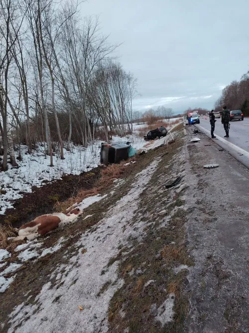 Avarija kelyje Vilnius–Prienai–Marijampolė / Alytaus apskr. VPK nuotr.