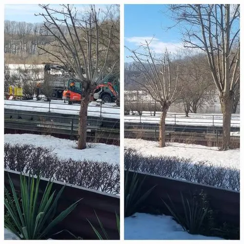 Darbai Nemuno krantinėje / Grupėje „Žemųjų Šančių bendruomenė“ nuotr.