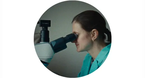 „Dulkės, kaulai ir stebuklai“ / Stop kadras