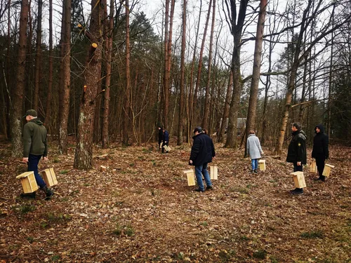 Namai sugrįžtantiems paukščiams / Valstybinių miškų urėdijos nuotr.