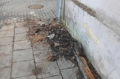 Incidentas K. Donelaičio gatvėje / Skaitytojų nuotr.