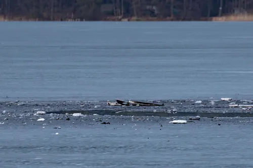 Vieta, kur Varėnos rajone nukrito dronas