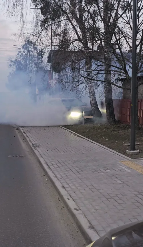 Kaune į medį atsitrenkė automobilis