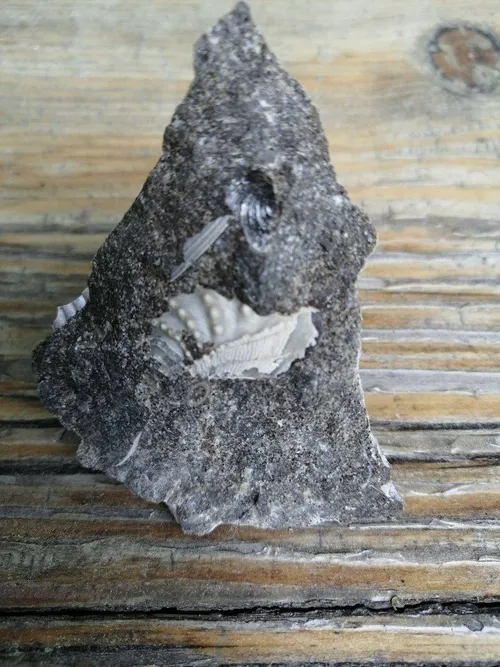 kriaukle pries valyma