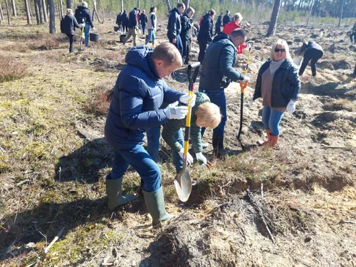 Miškasodis Vakarų Lietuvoje / Organizatorių nuotr.