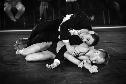 Paulius-Zidonis-Perdegimas