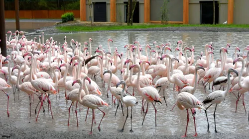 260 e0dccc37fe5e97bff4b6bb5fbc39d3e0 1024x575