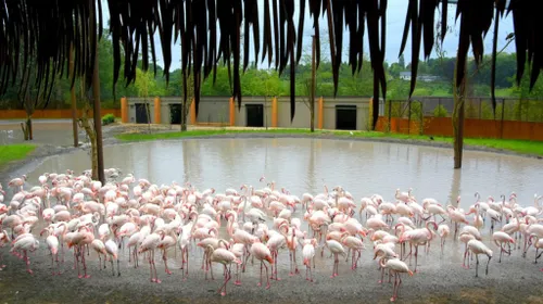 260 e1fe1a0a8b0a8d17fd984c4510a55a85 1024x575