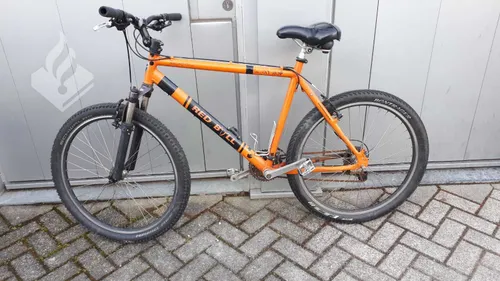 154220987 3686155668120415 7425824537659491500 o