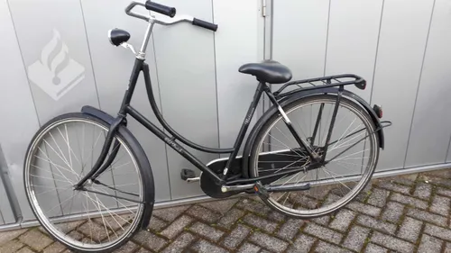 155284514 3686155018120480 5410326531206230073 o