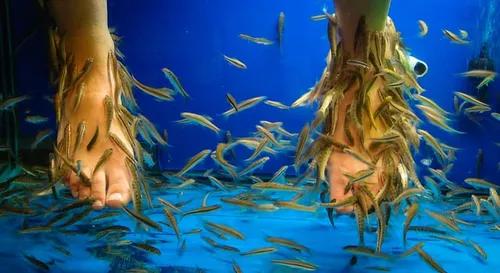 13671557814 faca7e0f27 z