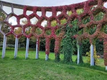 310928647 500278905283736 7069874092582467407 n