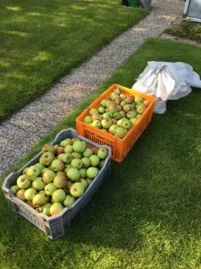 img 1924 e1474794177964