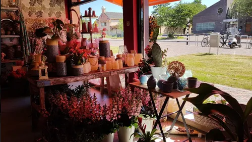 schermafdruk 2018 06 29 162846