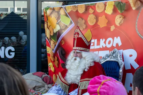 sinterklaas demeern 25 11 14