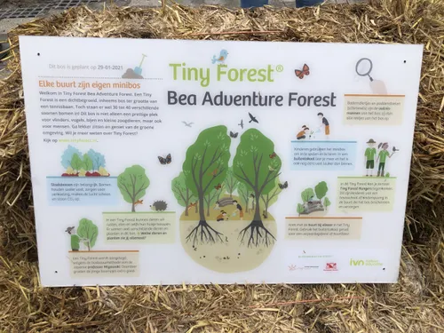 thumbnail img 4729 groot