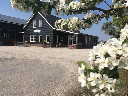 whatsapp image 2018 04 22 at 170711