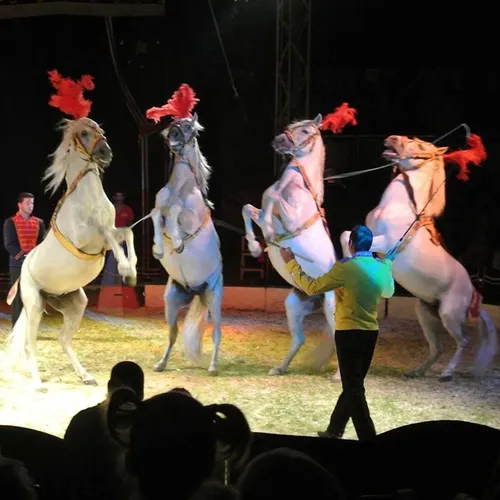 10686934 652363238204222 7155021944276005302 n 1