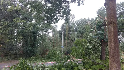 117334774 3552098938154001 4276247107639994810 o