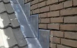 13406802 512136048993871 8329869743455411339 n