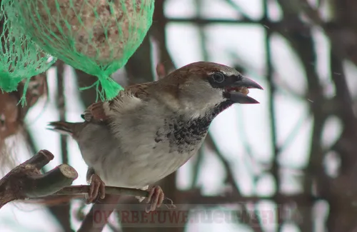 147643196 10218548440168895 4955773909962970998 o