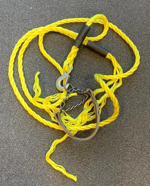 76248197 1217780508429418 7934822324103020544 n