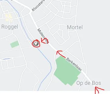 knotwilgen natwdag21