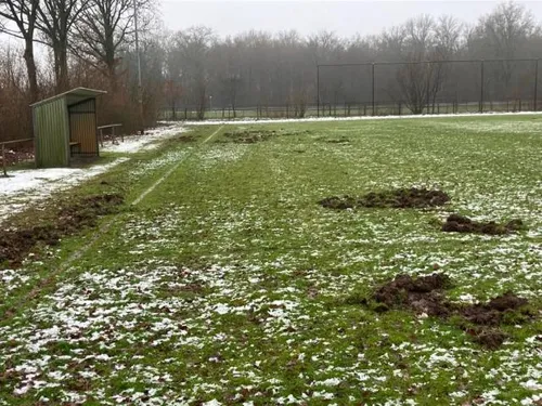 sportveld heibloem 1