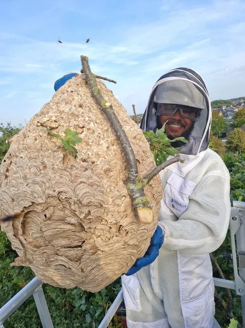 whatsapp image 2023 10 11 at 190848