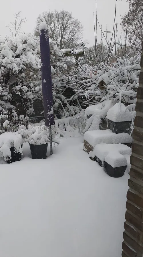 achtertuinhuissenwilna van de beeten wansink o
