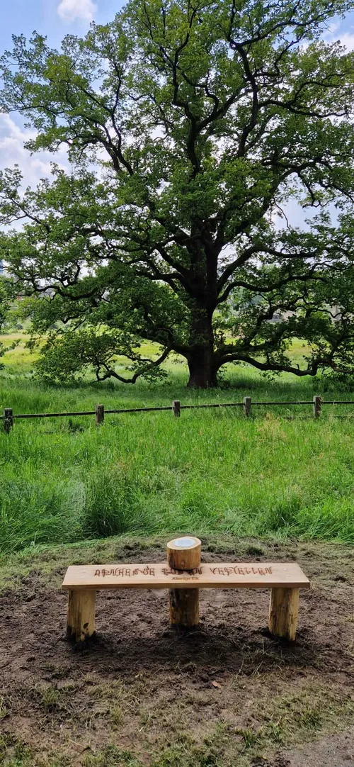 arnhemse bomen vertellengemeente arnhem