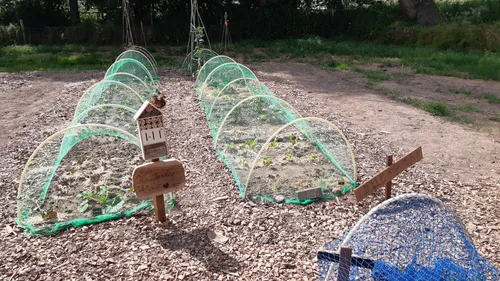 b en bmoetuinenhuissensln 20230620 154553 kopie