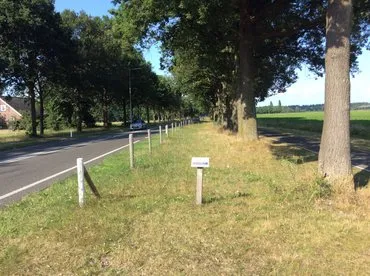 bermvlinderstichtinga26de960 e364 422f 8e7f ca81181347f9jpgw370v1616052004