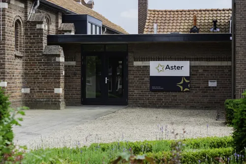 bloesem aster huissen