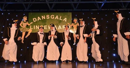 dansgala 5