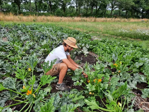 fotogragie2 gelukkigegroentes rechtenvrij jorianxx liselotteraben1