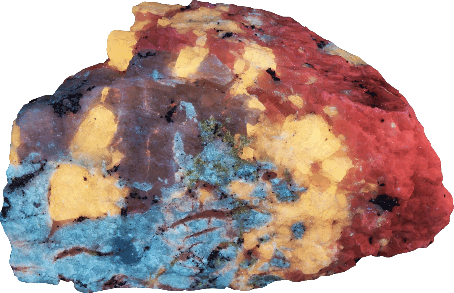 geldersgeologischmuseumuv 3 1536x990 1