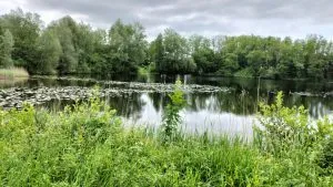 img20230523110817hans scholten 300x169