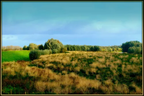joyce foto polder 2