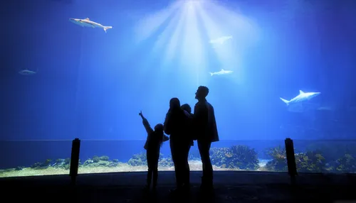 koninklijke burgers zoo