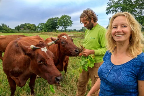 korte ketenferdi en jasmijn van natuurboerderij hommelhoeve fotograaf jurjen drenth