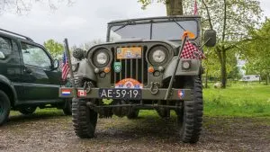 p1389215 edit 300x169