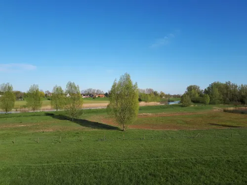 reisspijsde liemers1