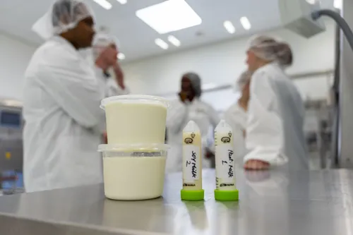 zuivelingredienten en eindproducten in het fact