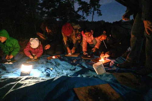 Foto: Dirk van Schei. Gorssele heide<br>